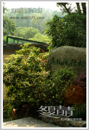 杭州动物园两栖馆